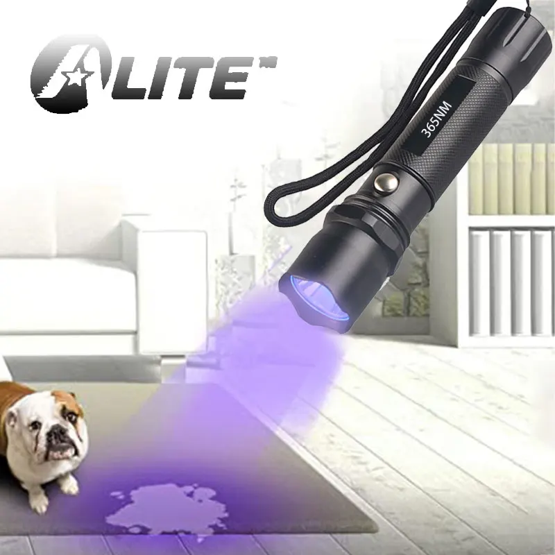 TMWT – lampe torche UV Rechargeable à lumière noire, 365nm, détecteur d'urine animale, Pack de 2