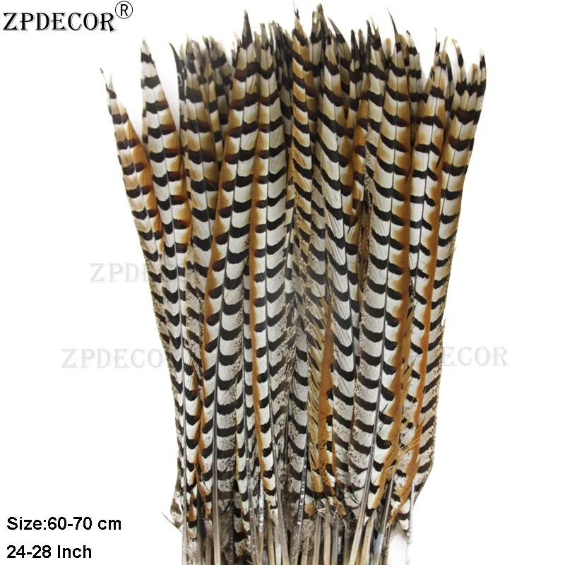 ZPDECOR-Natural Reeves Pheasant Feathers, 65-70cm, 26-28 in