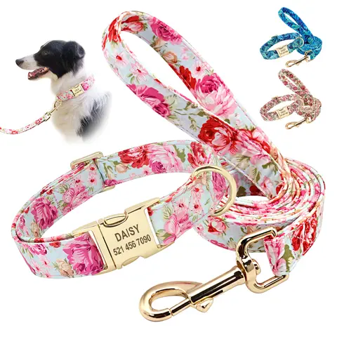Custom Dog Collar and Leash Set with Nameplate PET ARTIST
