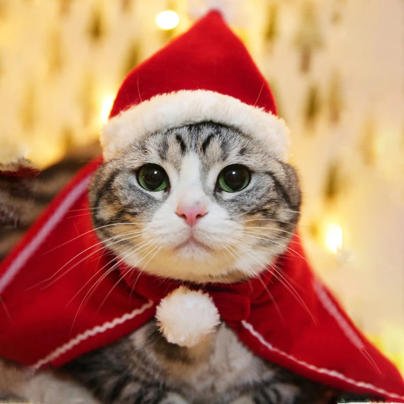 Christmas Cat Costumes Funny Santa Claus Clothes For Small Cats Dogs Xmas New Year Pet Cat Clothing Winter Kitten Outfits 2020