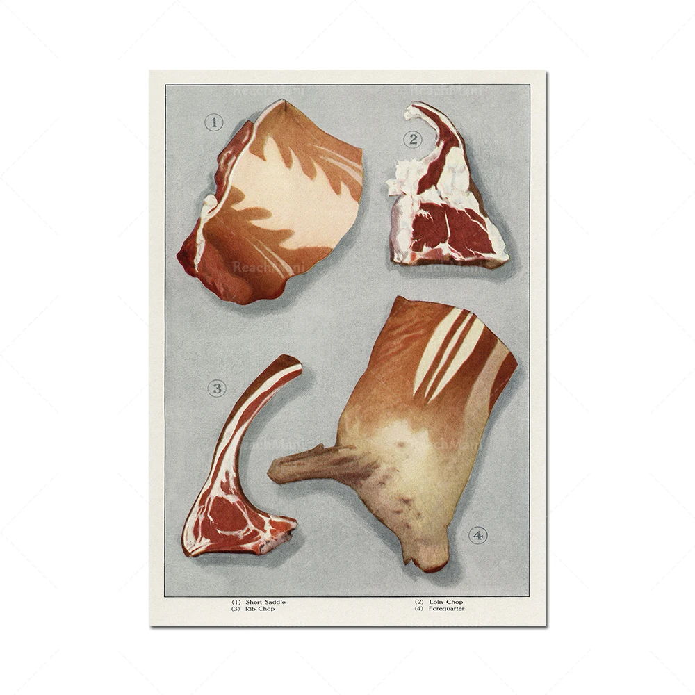 Affiche viande: Steak, Saucisse, Côtes levées, Lamb Art Prints from vintage Grocer’s Encyclopedia