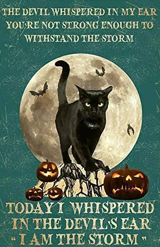 

Salem Sanctuary for Wayward Cats Halloween Cat Pumpkin Tin Sign Retro Style Miller Beer Bar Den Halloween Painting Metal