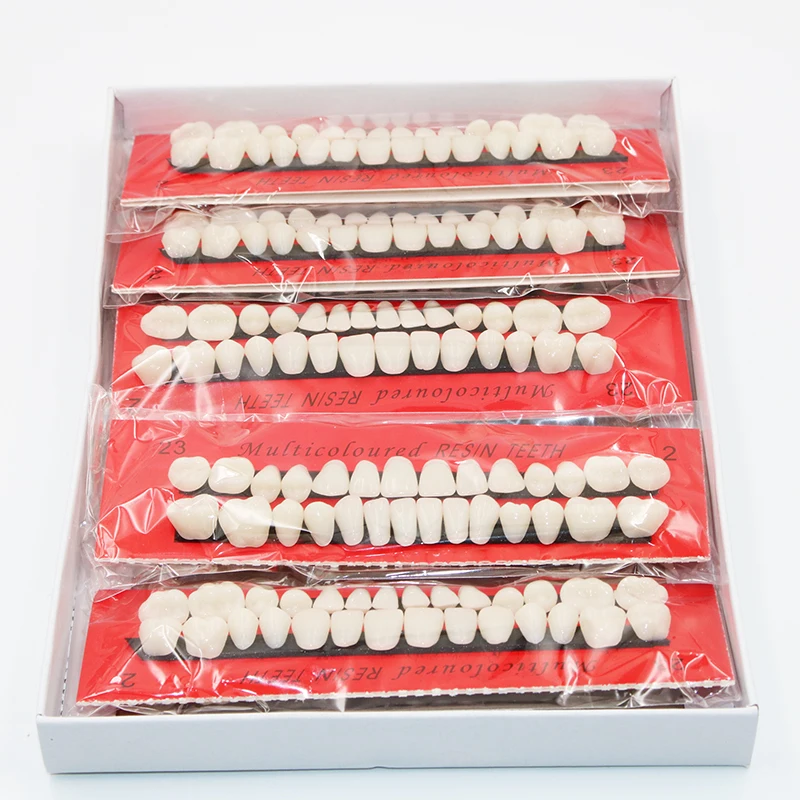 10 sets Dental Material Plastic Teeth Teaching Model Dedicated Teeth Dental Material Useful Teeth Care Dentist Tools A2 Type