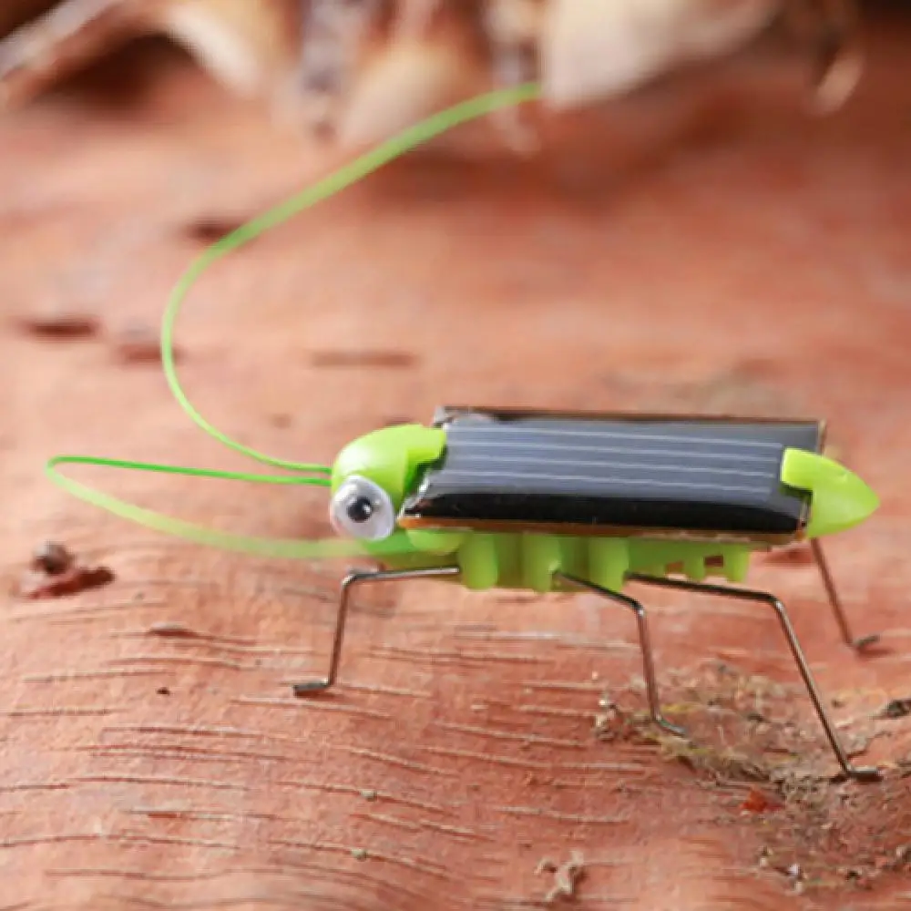 Creative Fun Solar Power Robot Insect Locust Grasshopper Kids Educational Toy