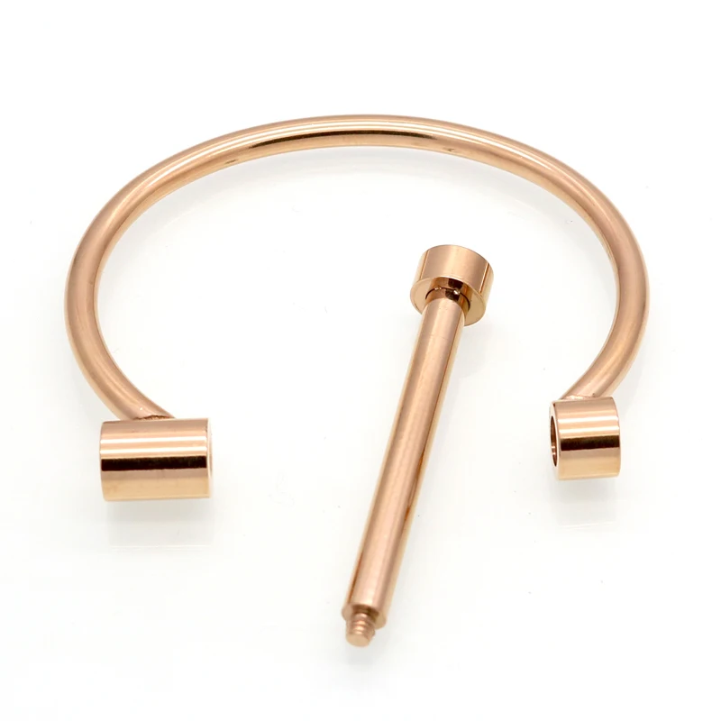 Fashion Interchangeable Shackle Screw Bracelet Stainless Steel Bracelets For Women Love Resin Bracelets & Bangles wholesale
