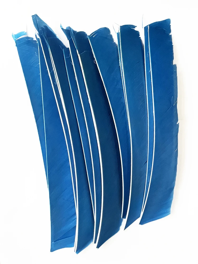 100PCS 18-25CM Volle Länge Türkei Pfeil Federn DIY Jagd Bogen Pfeil Zubehör Bogenschießen Befiederung Rechten flügel Flügel – Detail 14