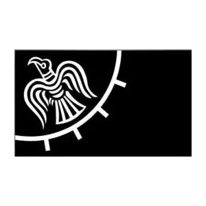 ELECTION  90x150cm Viking Raven Flying  Custom outdoor VR2 flag