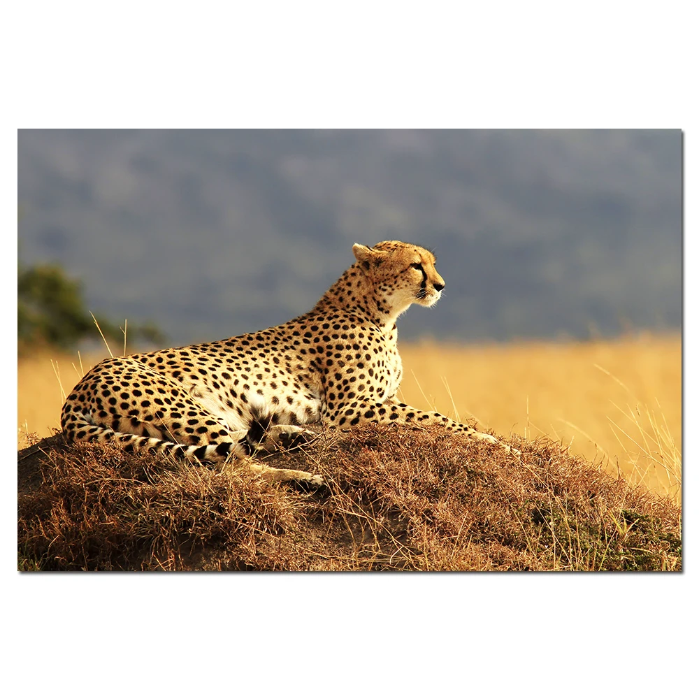 Cheetah Poster and Print Wall Art Animals Canvas Painting Wall Picture For Living Room Decor