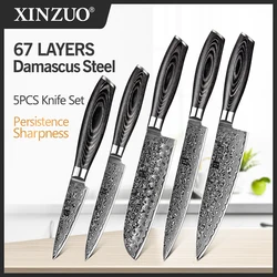 XINZUO 5PCS Kitchen Knives Set 67 Layer Chinese VG10 Damascus Steel Chef Slicing Santoku Utility Paring Knife Pakka Wood Handle