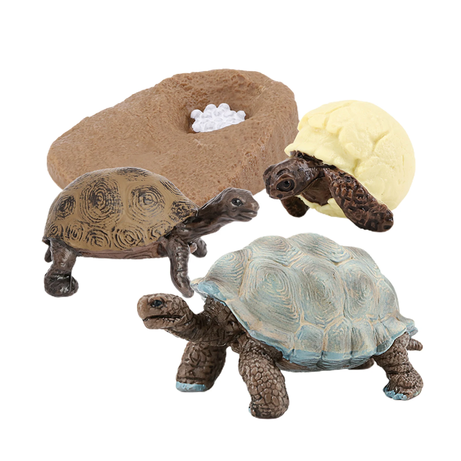 Sea Turtle Life Cycle Model 4 Stage of Growth Kids Education Cognitive Biology Toys