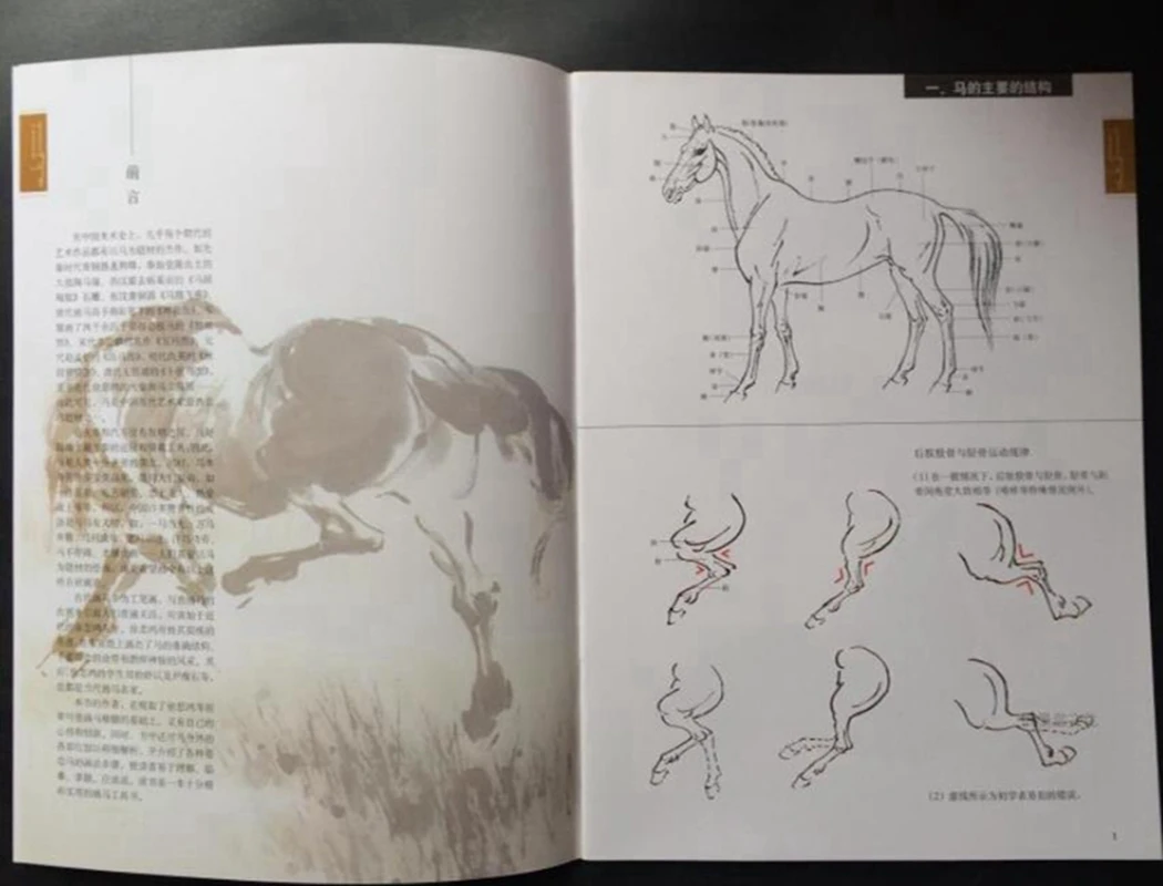 Chinese Painting Book Sumi-e How To Draw Horse Tattoo Flash Design Reference