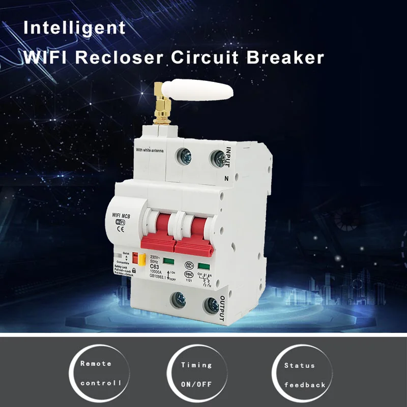 eWelink WiFi 2P Smart Circuit Breaker Automatic Switch Overload Short Circuit Protection , Work with Alexa and Google home