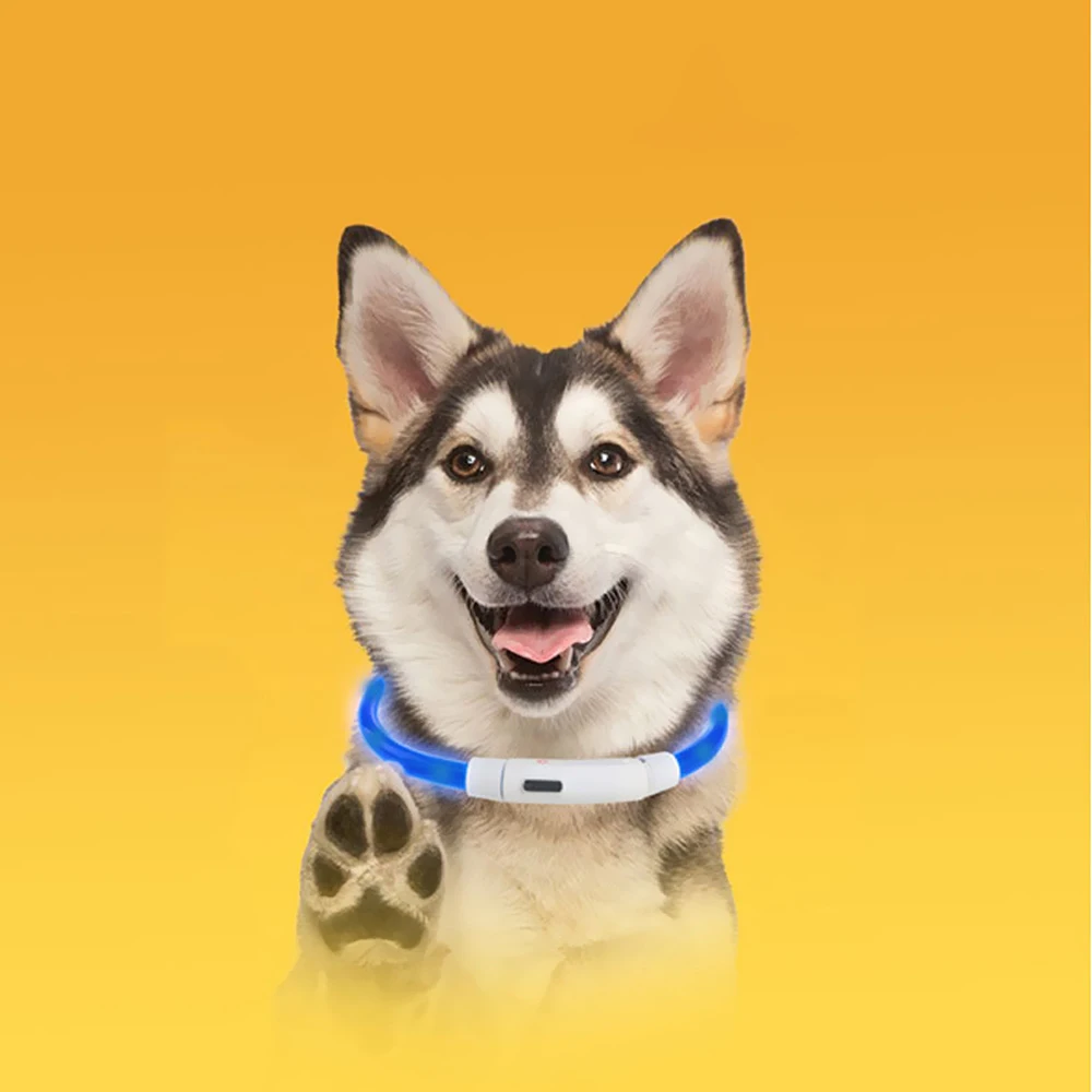 Rechargeable LED Led Usb Dog Collar Pet Dog Collar Night Safety Flashing Glow Night Dog Collars Glowing Luminous