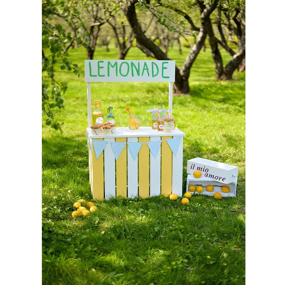 Lemonade-خلفية أشعة الشمس لحفلات استقبال المولود الجديد ، وخلفية التصوير الفوتوغرافي للصور ، وإكسسوارات الاستوديو