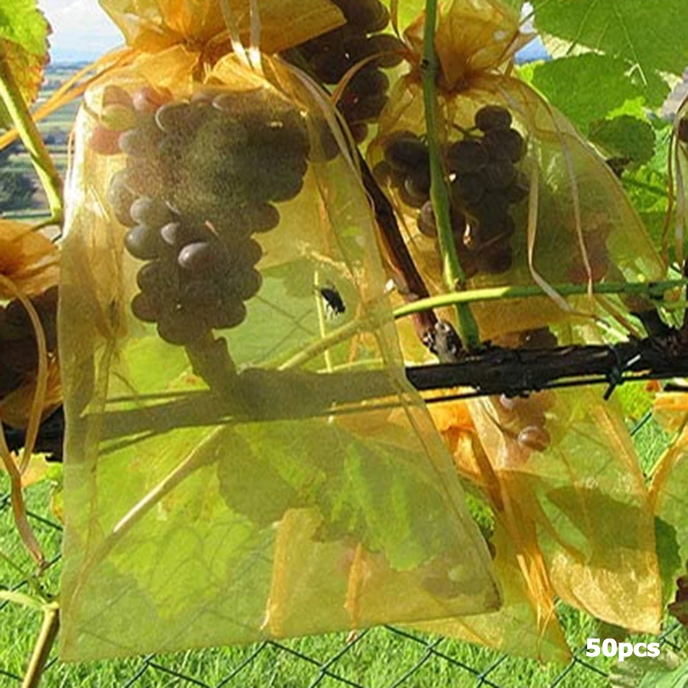 Sacchetti di protezione per frutta d'uva di grandi dimensioni da 100 pezzi sacchetto di rete da giardino con coulisse sacchetto di rete per fragole di verdure Anti-uccello agricolo