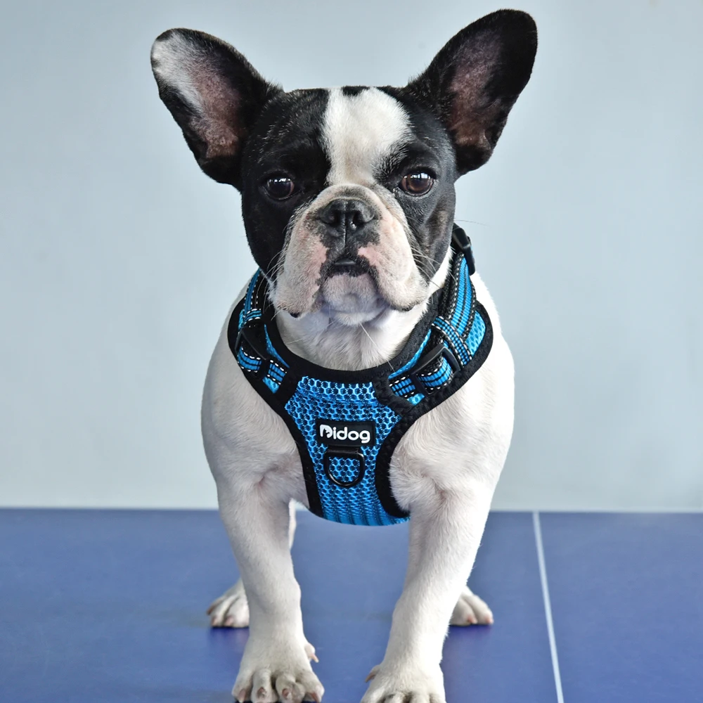 No-pull Nylon Dog Harness Reflective Pet Puppy Harness Vest Safety Adjustable For Small Medium Large Dogs Pitbull French Bulldog