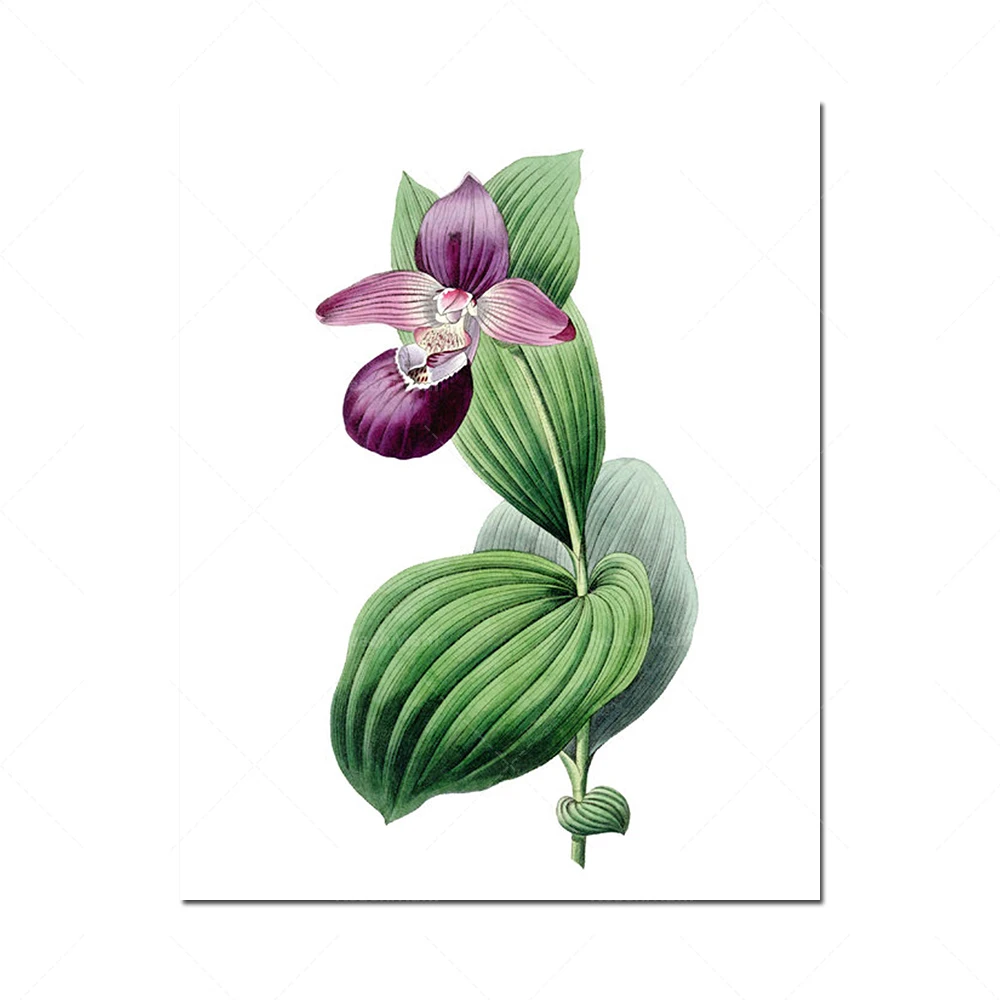 الانطباعات دي فلورز بنفسجي، الرسوم التوضيحية الرجعية، فرقة دي آرت جدارية فيطيتال دي 4 انطباعات