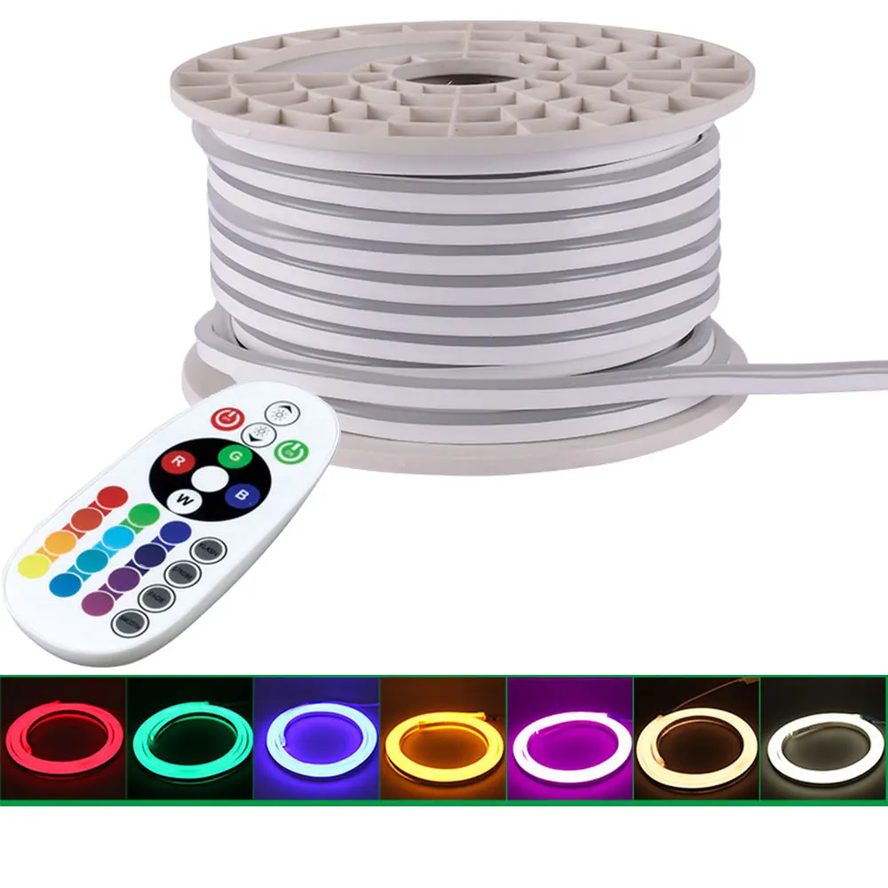 GD 100M LED Neon Strip Light With Bluetooth Remote Controller AC220V Dimmable LED Rope Light IP65 Waterproof for Outdoor use