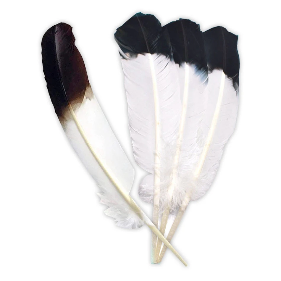 10Pcs Natural Plume White Black Turkey Feathers for Crafts Home DIY Feather Party Wedding Decoration Accessories 25-30cm