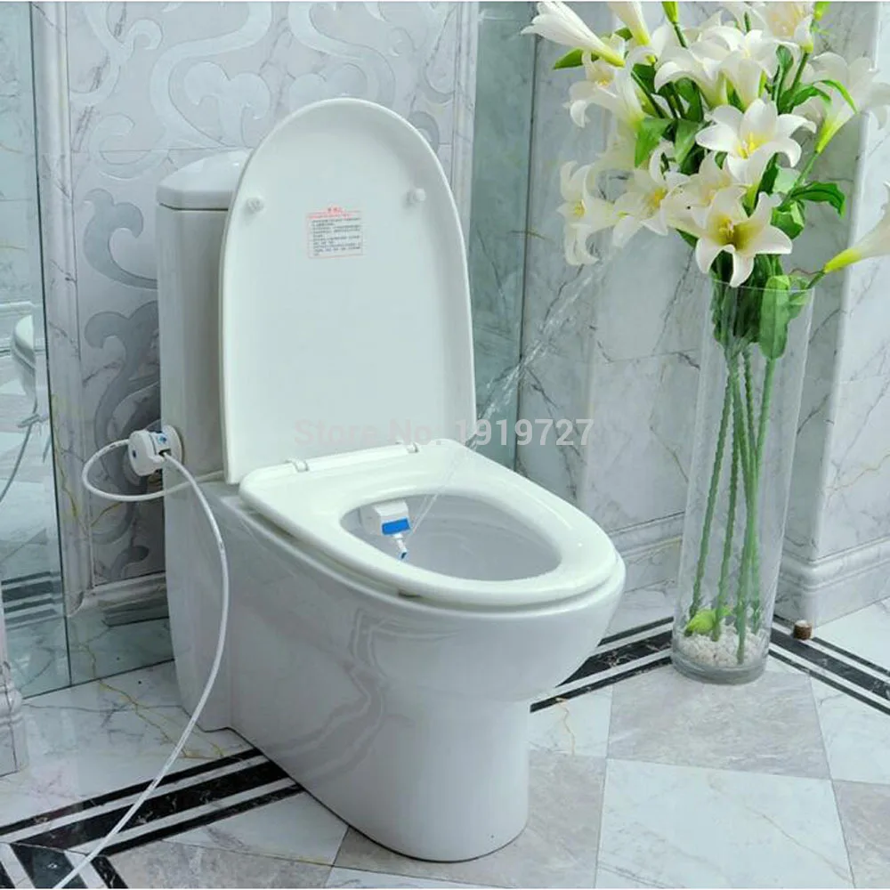 Vidric Patent Design Luxurious Hygienic Eco-friendly And Easy To Install High Tech Toilet Seat Portable Sanitary Wall Bidet