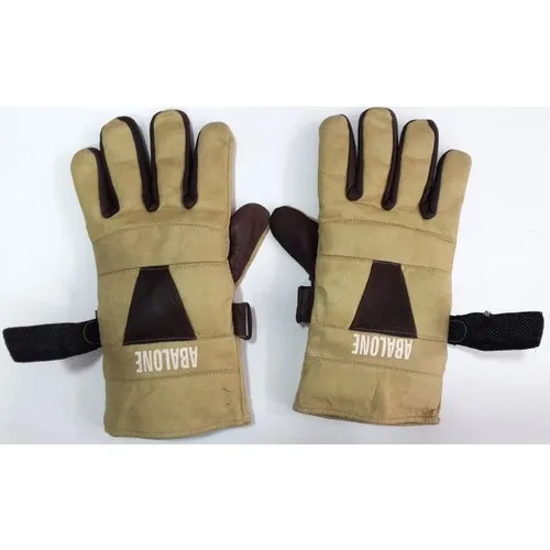 Abalone Biker and Cold Climate Glove