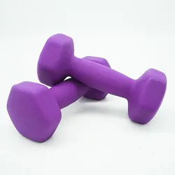 2kg/4kg pesi esercizio Fitness manubri uomo donna manubri antiscivolo per palestra casa Bodybuilding Sport attrezzature per il sollevamento pesi