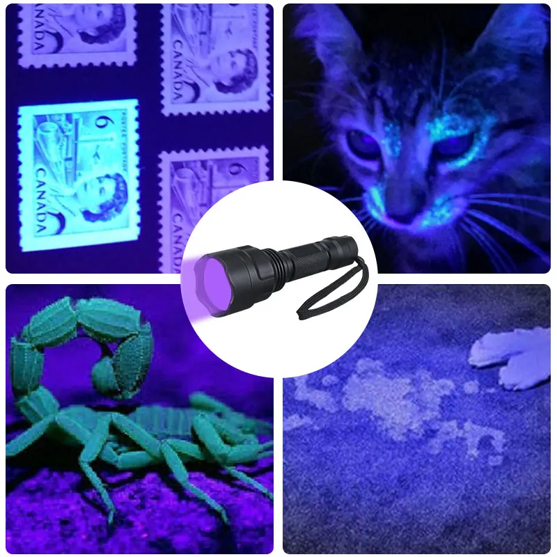 Imagem -04 - Lanterna Ultravioleta uv 365nm Modo Blacklight Roxo Levou Animal de Estimação Cão Urina Detector de Manchas Gato Caça Marcador