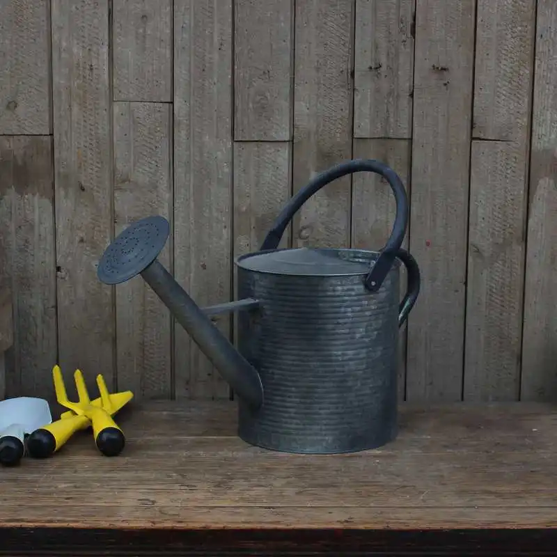 6.5L Volume Retro Zinc Garden Watering Can