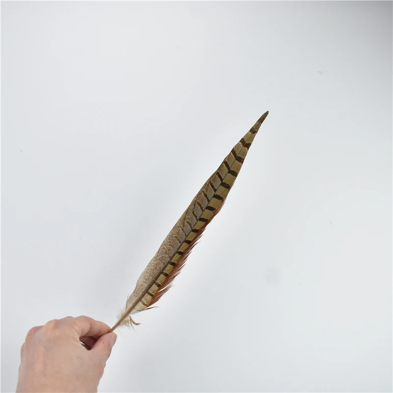 10 قطعة/الوحدة ريش ذيل الدراج الطبيعي للحرف اليدوية كرنفال اكسسوارات حفل زفاف عطلة الديكور أعمدة طويلة غطاء الرأس