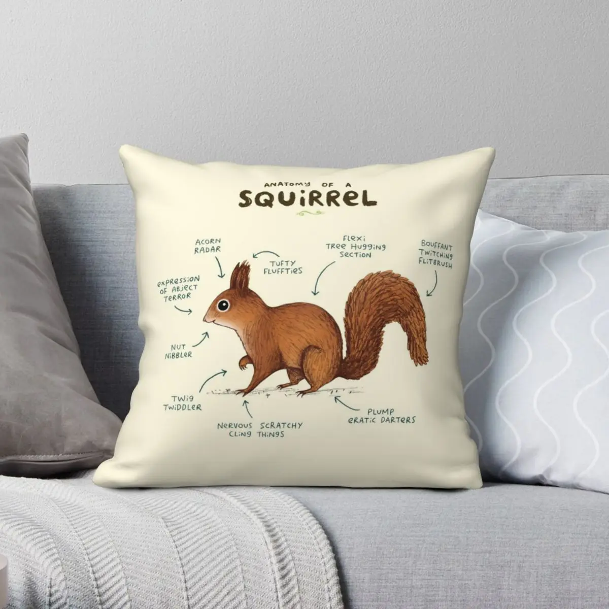 

Anatomy Of A Squirrel Pillowcase Polyester Linen Velvet Zip Decor Throw Pillow Case Home Cushion Cover 45x45