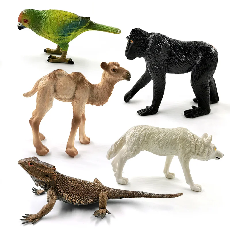 Komodo Dragon Lizard Wolf Dog Cat Sloth Bird Fox Animal Model Figurine Home Decor Miniature Fairy Garden Decoration Accessories