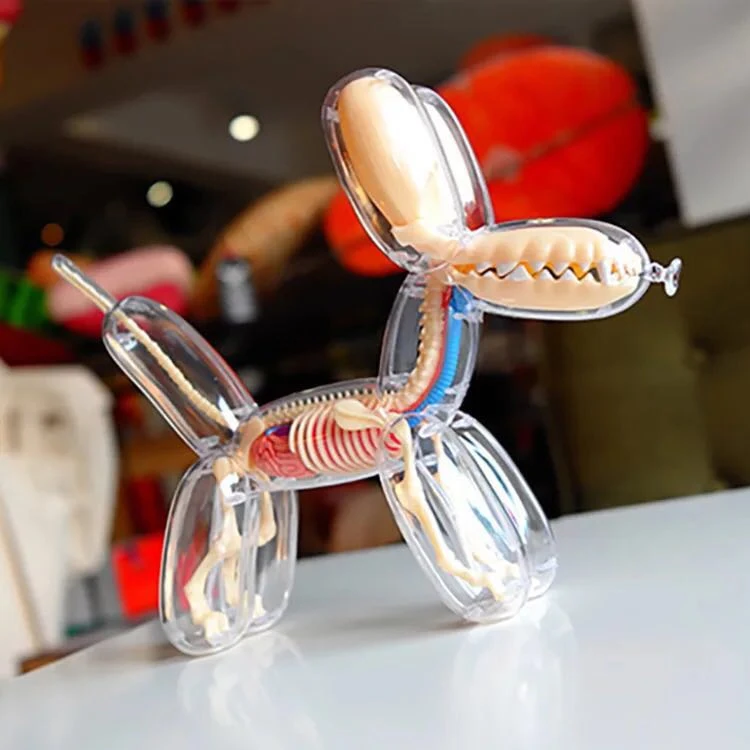 jason-freeny-26-piezas-4d-globo-grande-perro-esqueleto-transparente-modelo-perspectiva-anatomia-osea-rompecabezas-montaje-juguete-veterinario