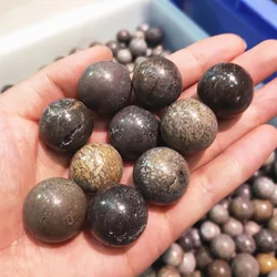10 pcs Natural dinosaur bone quartz balls crystal ball gemstone sphere home decor healing