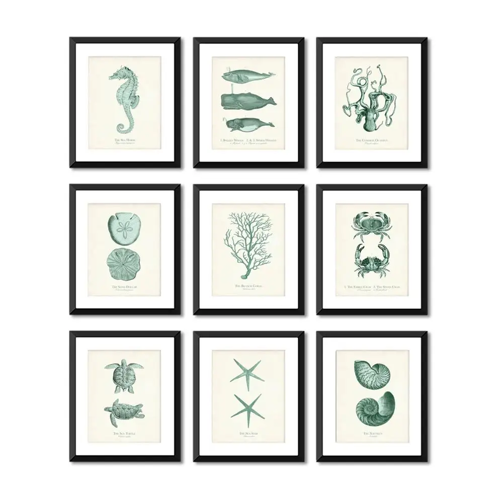 Octopus Starfish Conch Whale Turtle Crab Wall Art Canvas Painting Nordic Posters And Prints Wall Pictures For Living Room Decor