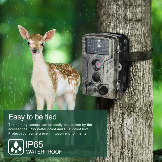 HC802A 2.7K 24MP Wireless Trail Camera Night Vision Hunting Wildlife Surveillance Photo Trap Cam with Tracking Features 2