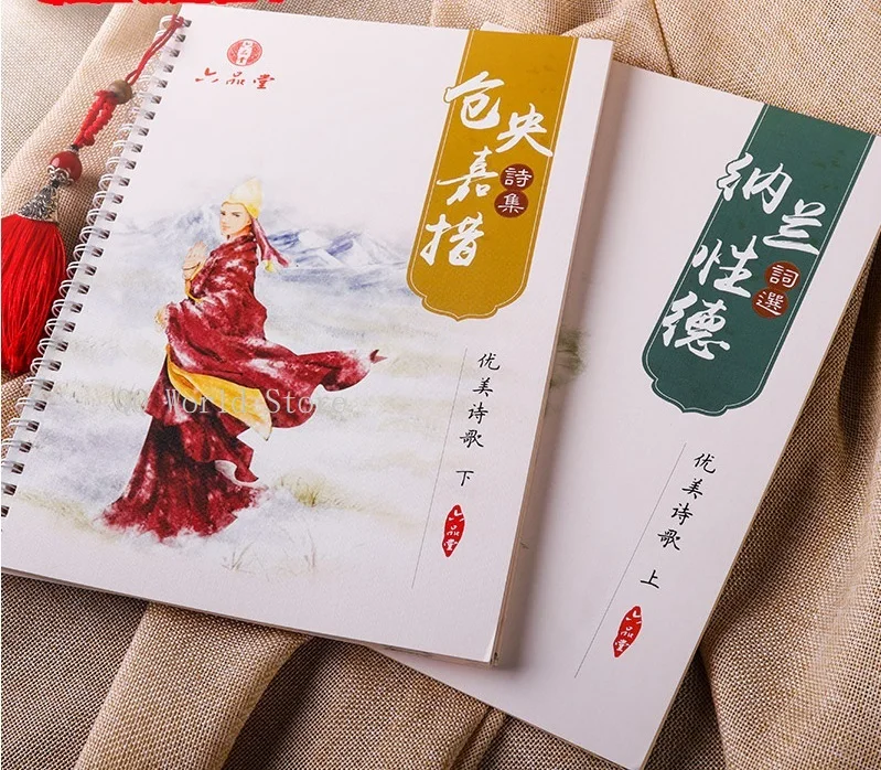 2 Books Chinese Regular Script Adult Love Poetry Calligraphy Auto Dry Repeat Practice Lu Pin Tang 3D Groove Copybook Pen Set