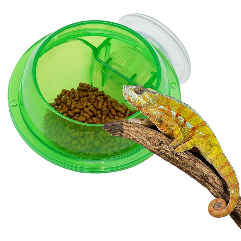 3pcs Pet Feeder Durable Reptiles Suction Cup Feeder Bowl for Lizard Chameleon  Container Reptiles Amphibians Water Food Feeder