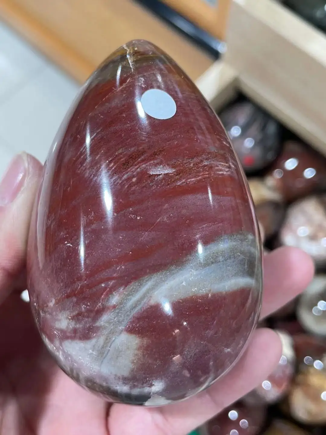 Beautiful Petrified Wood Fossil Crystal EGG form Madagascar