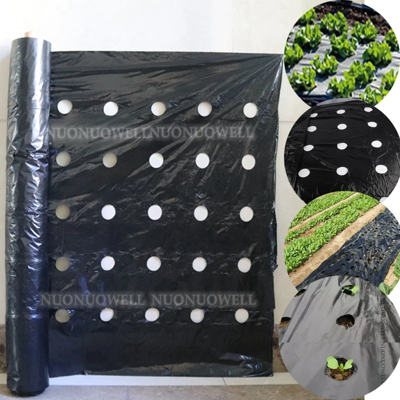 

20~100M 5Holes Agricultural Black Perforated Plastic Mulch Film Plants Planting Grow Film Greenhouse Seedling Keep Warm Film