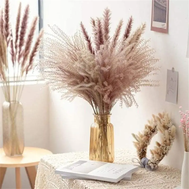 

30pcs Decoration Dried Natural Phragmites Bouquet Pampas Grass Reeds Flowers Bulrush Dekoration Droogbloemen Boho Decor Secas