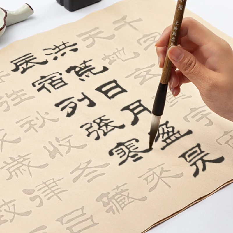 Official Script Brush Calligraphy Collection Copybook Chinese Classics Inscription Practice Copybook Getting Started Miaohong