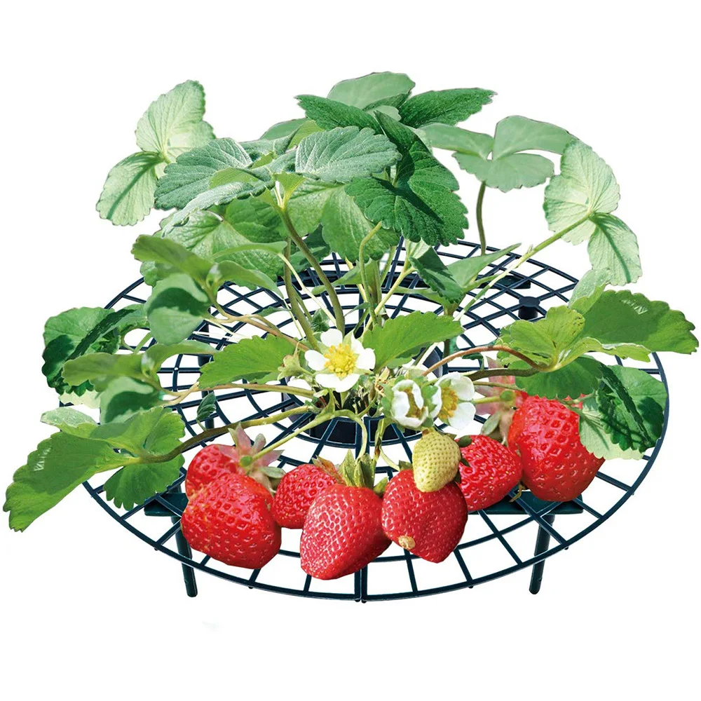 Drtools 5/10/20PCS Strawberry Stand Frame Holder Gardening Stand Plant Tray Rack Fruit Support Plant Flower Climbing Vine Pillar