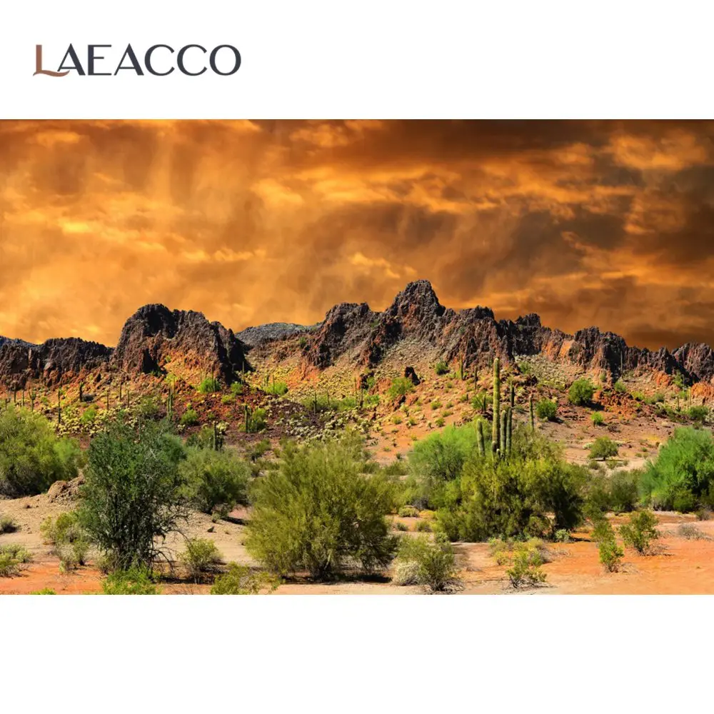 Laeacco Nature Backgrounds Cactus Desert Sunset Shrub Stone Aurora Scenic Photographic Backdrops Photocall Photo Studio