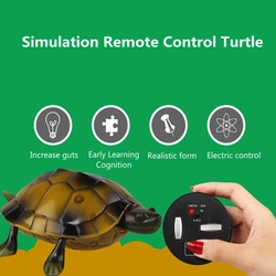 Simulation Swing Walk Remote Control Turtle Anti-wear Tires Eye Lights Early Learning Cognition Realistic Form Electric RC Toys