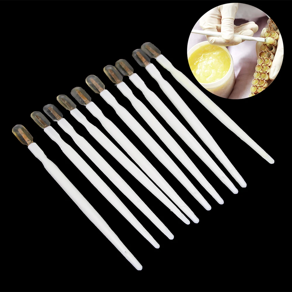 

40PCS Beekeeping Squeegee Pen Bee Milk Royal Jelly Scraper Taking Pens Take Pulp Grafting Supplies Wholesale Bees Tools