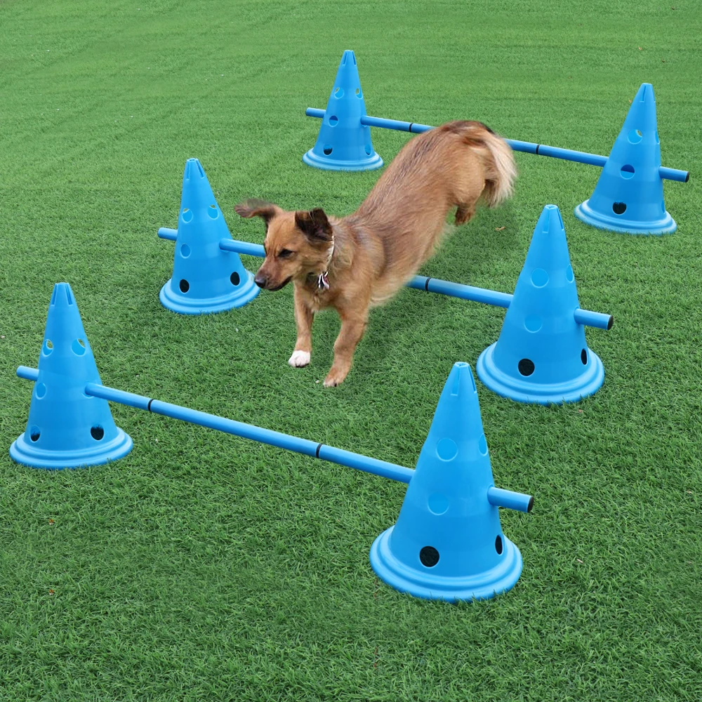 Imagem -06 - Equipamento Portátil Pet Agilidade Produtos Duráveis do Treinamento do Cão Correndo Pulando Estacas Esportes ao ar Livre Estaca Pólo 3set