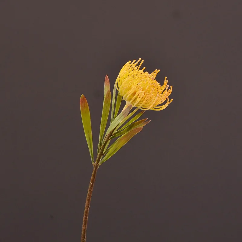

MBF Plastic Artificial Flower Leucospermum Wedding Home Decoration Display Cordifolium Artificial Pin Cushion High Quality