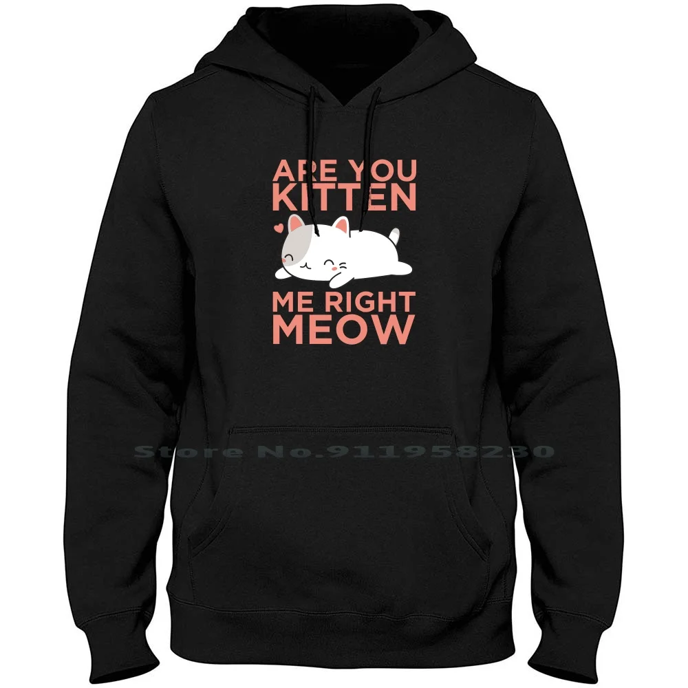 Are You Kitten Me Right Meow Men Women Hoodie Sweater 6XL Big Size Cotton Kitten Right Quote Kitty Meow You Ten Rig Ny Me Funny