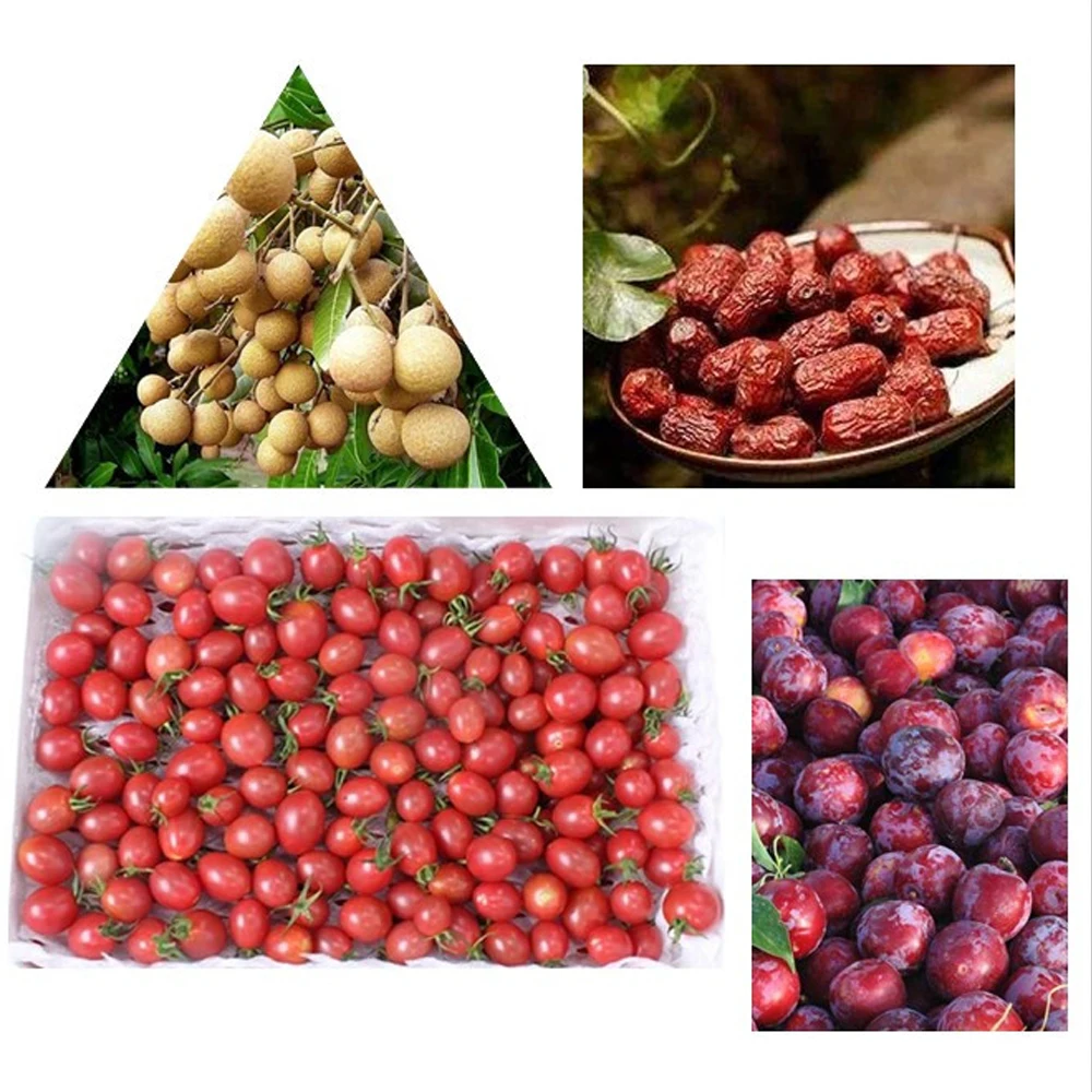 Para a máquina de classificação pequena 50-100 kg/h do tomate que classifica a máquina