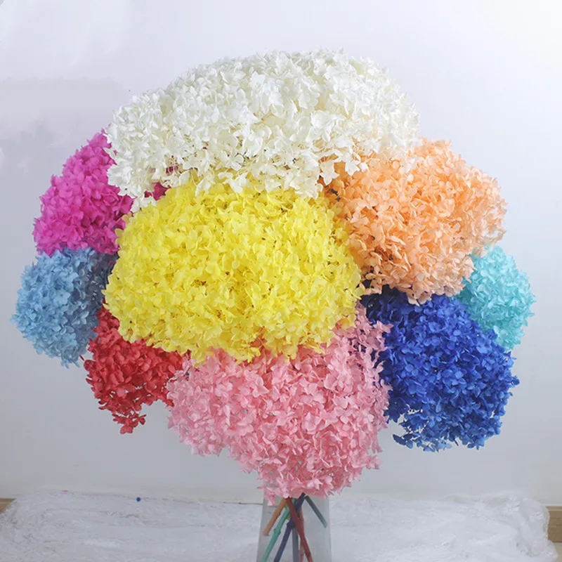 Rama de hortensia de clase A, 26CM de cabeza, 50CM, flores naturales secas reales, decoración para fiesta en casa, artesanía de mesa, decoración Bohemia